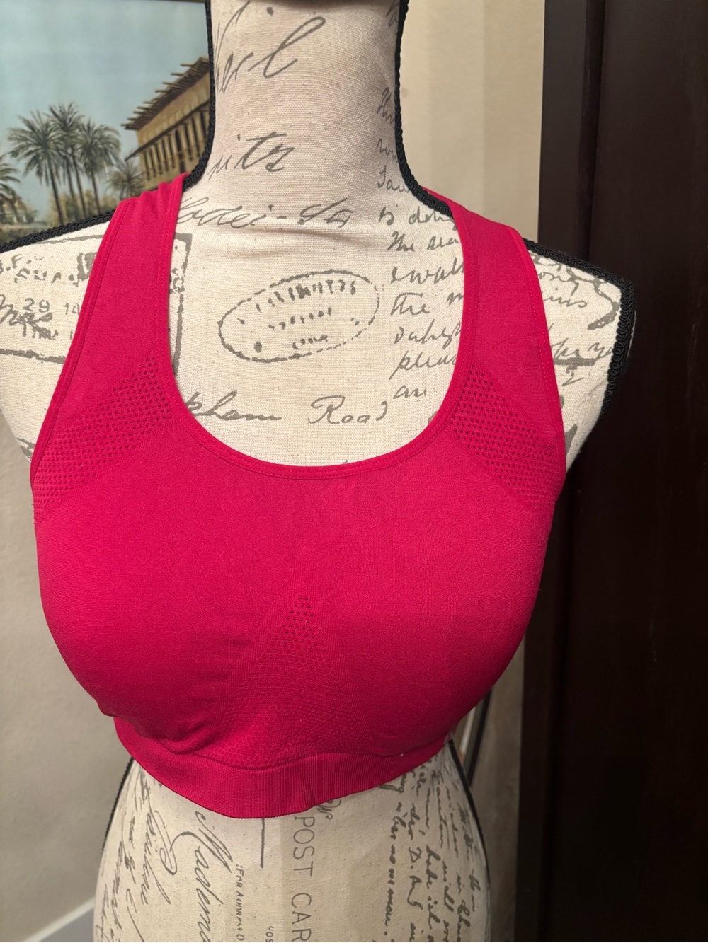 Seamless Wireless Sports Bra -red